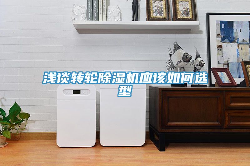 亚洲人成综合第一网站 浅谈转轮除湿机应该如何选型