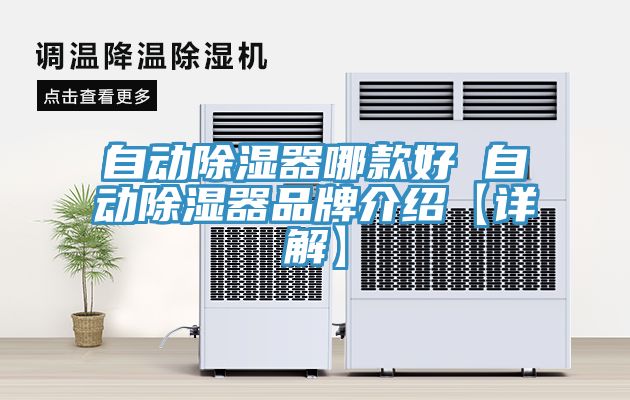 亚洲人成综合第一网站 自动除湿器哪款好 自动除湿器品牌介绍【详解】