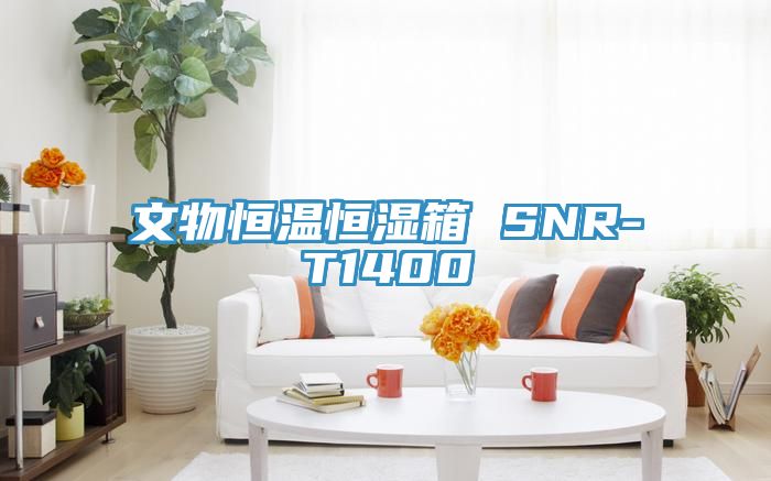 亚洲人成综合第一网站 文物恒温恒湿箱 SNR-T1400