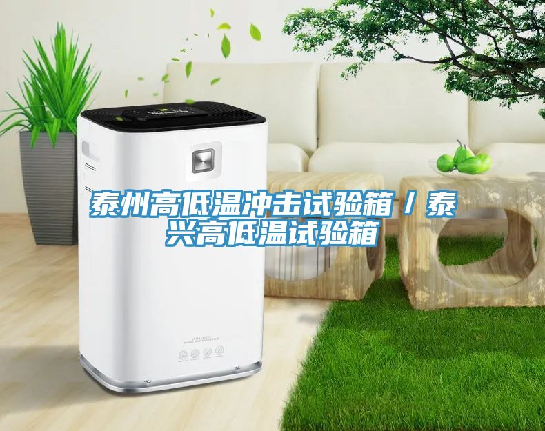 亚洲欧美一级特黄大片 泰州高低温冲击试验箱／泰兴高低温试验箱