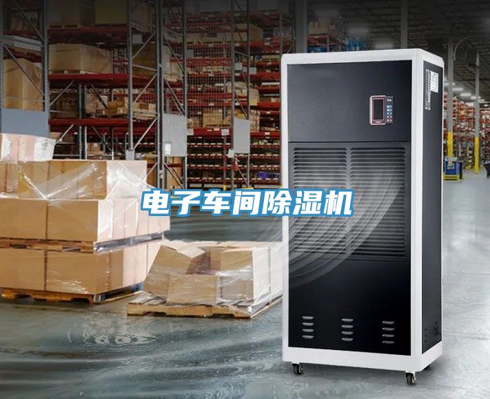 亚洲欧美一级特黄大片 电子车间除湿机