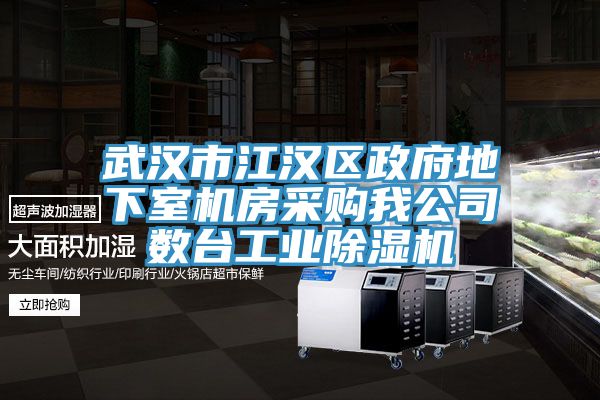 亚洲欧美一级特黄大片 武汉市江汉区政府地下室机房采购我公司数台工业除湿机