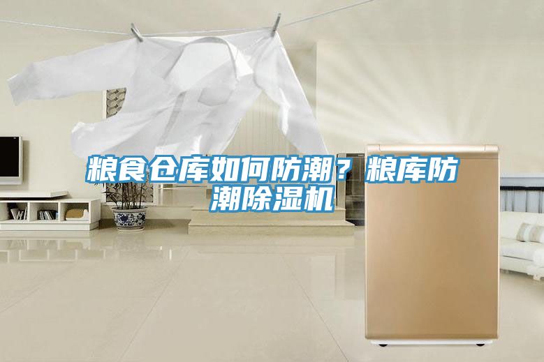 亚洲欧美一级特黄大片 粮食仓库如何防潮？粮库防潮除湿机