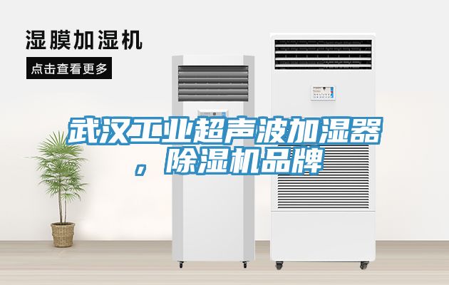 亚洲欧美一级特黄大片 武汉工业超声波加湿器，除湿机品牌