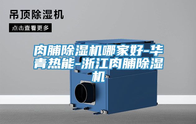 亚洲人成综合第一网站 肉脯除湿机哪家好-华青热能-浙江肉脯除湿机