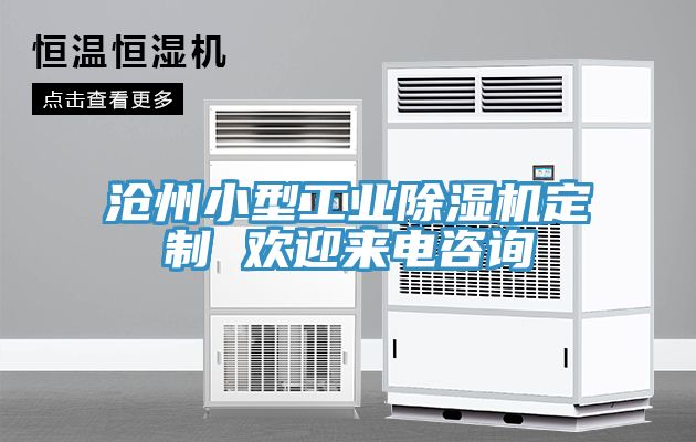亚洲欧美一级特黄大片 沧州小型工业除湿机定制 欢迎来电咨询
