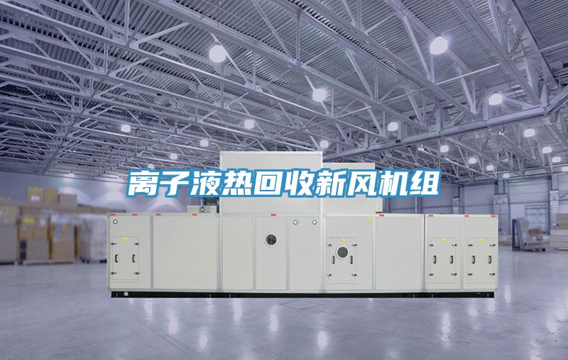 亚洲欧美一级特黄大片 离子液热回收新风机组
