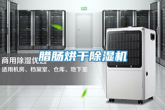 亚洲欧美一级特黄大片 腊肠烘干除湿机