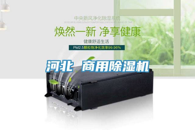亚洲乱码一区二区三区 河北 商用除湿机