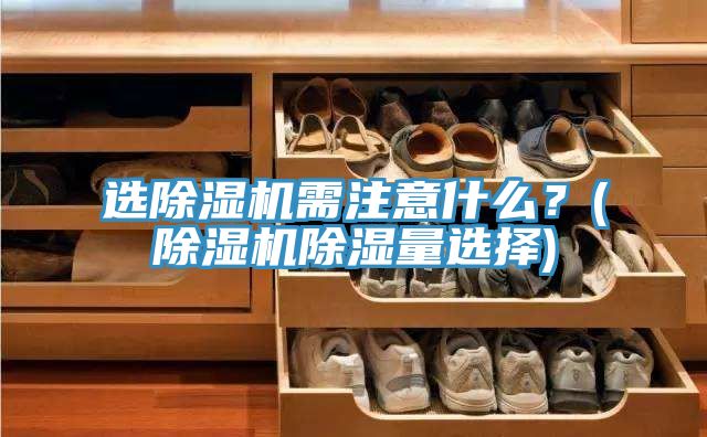 亚洲人成综合第一网站 选除湿机需注意什么？(除湿机除湿量选择)