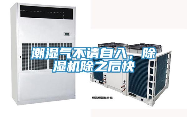 亚洲人成综合第一网站 潮湿气不请自入，除湿机除之后快