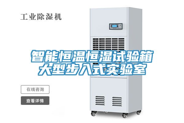 亚洲人成综合第一网站 智能恒温恒湿试验箱大型步入式实验室