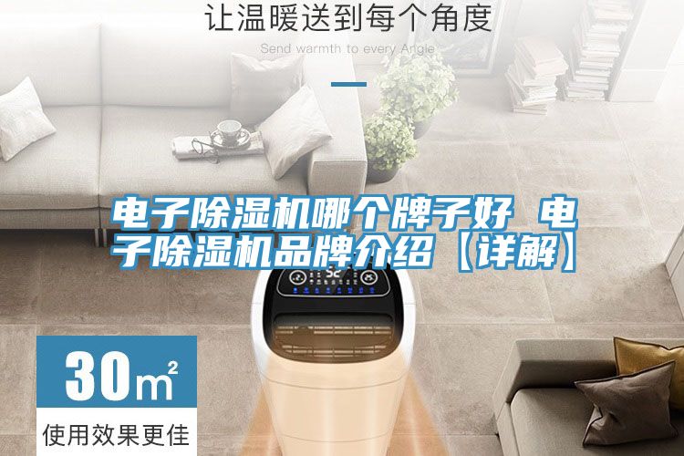 亚洲乱码一区二区三区 电子除湿机哪个牌子好 电子除湿机品牌介绍【详解】