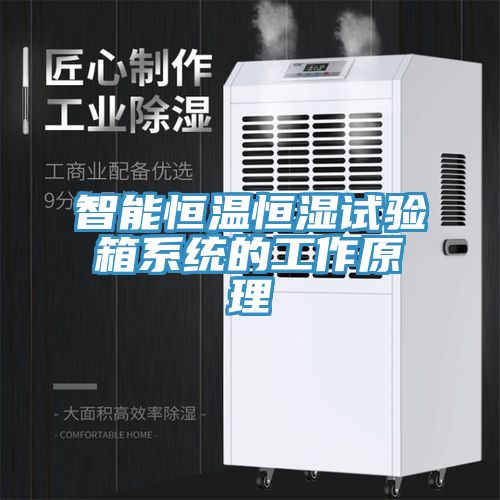 亚洲欧美一级特黄大片 智能恒温恒湿试验箱系统的工作原理