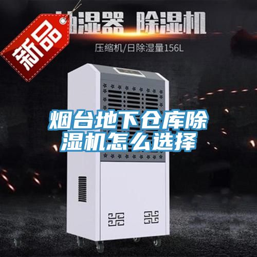 亚洲乱码一区二区三区 烟台地下仓库除湿机怎么选择