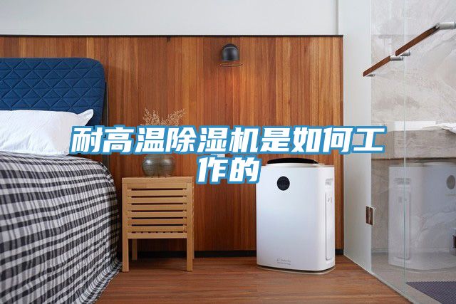 亚洲欧美一级特黄大片 耐高温除湿机是如何工作的