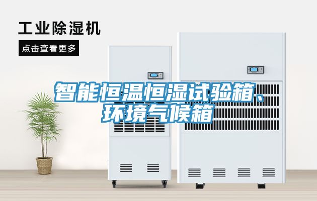 亚洲人成综合第一网站 智能恒温恒湿试验箱、环境气候箱