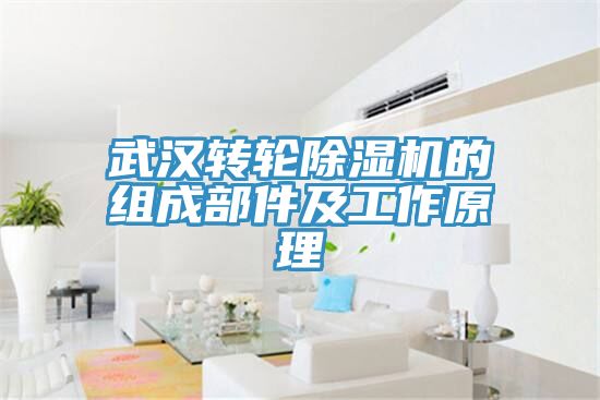 亚洲欧美一级特黄大片 武汉转轮除湿机的组成部件及工作原理