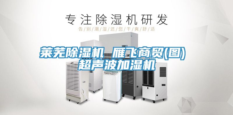 亚洲人成综合第一网站 莱芜除湿机 雁飞商贸(图) 超声波加湿机
