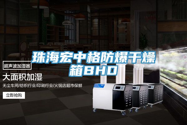 亚洲人成综合第一网站 珠海宏中格防爆干燥箱BHD
