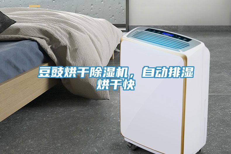 亚洲乱码一区二区三区 豆豉烘干除湿机，自动排湿烘干快