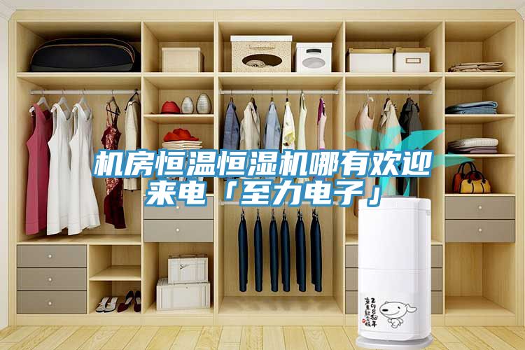 亚洲欧美一级特黄大片 机房恒温恒湿机哪有欢迎来电「至力电子」