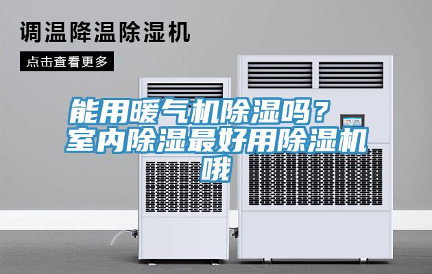 亚洲欧美一级特黄大片 能用暖气机除湿吗？ 室内除湿最好用除湿机哦