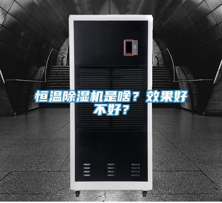 亚洲人成综合第一网站 恒温除湿机是啥？效果好不好？