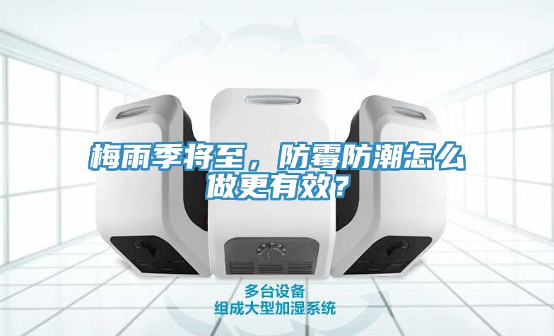 亚洲人成综合第一网站 梅雨季将至，防霉防潮怎么做更有效？