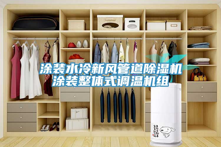 亚洲人成综合第一网站 涂装水冷新风管道除湿机涂装整体式调温机组