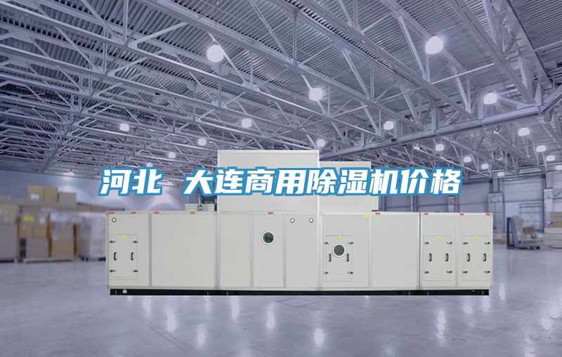 亚洲人成综合第一网站 河北 大连商用除湿机价格