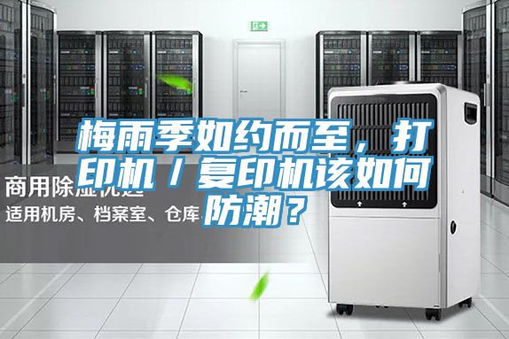 亚洲欧美一级特黄大片 梅雨季如约而至，打印机／复印机该如何防潮？