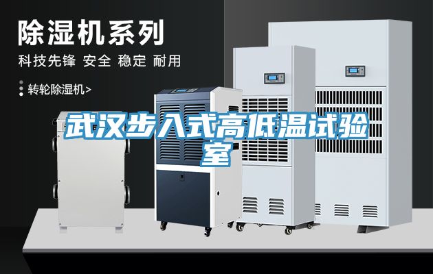 亚洲欧美一级特黄大片 武汉步入式高低温试验室