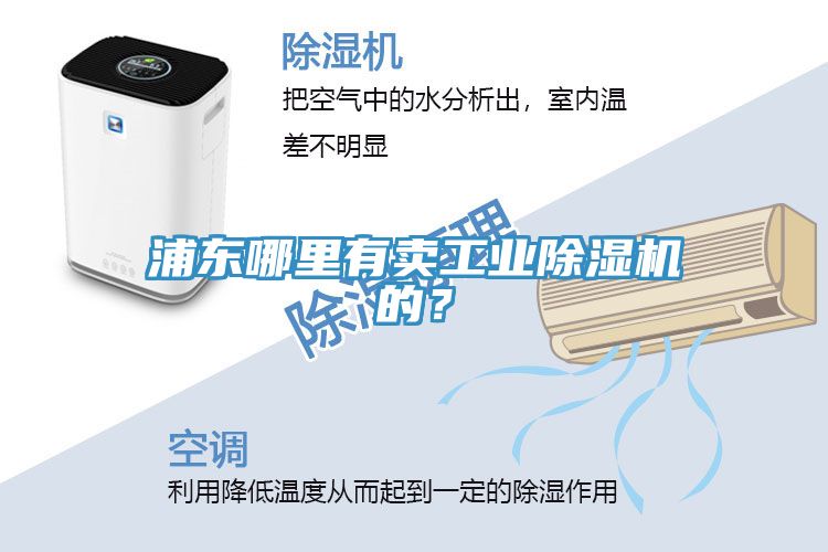 亚洲欧美一级特黄大片 浦东哪里有卖工业除湿机的？