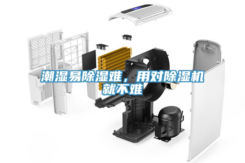 亚洲乱码一区二区三区 潮湿易除湿难，用对除湿机就不难