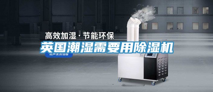 亚洲欧美一级特黄大片 英国潮湿需要用除湿机