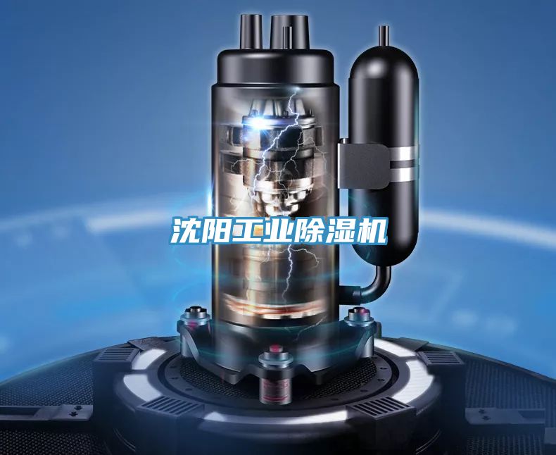 亚洲人成综合第一网站 沈阳工业除湿机
