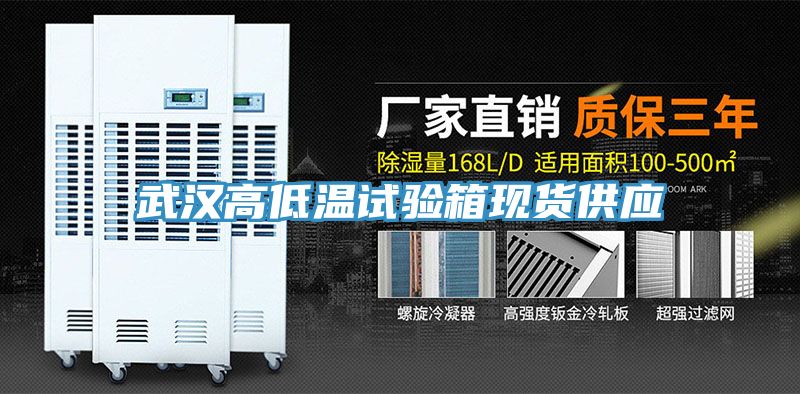 亚洲欧美一级特黄大片 武汉高低温试验箱现货供应