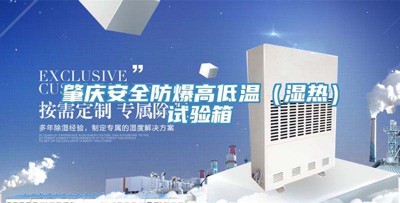 亚洲人成综合第一网站 肇庆安全防爆高低温（湿热）试验箱