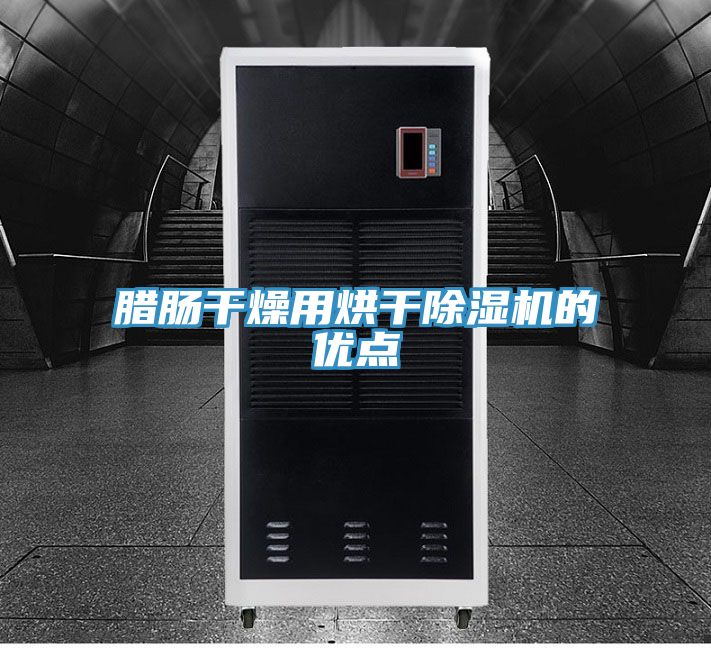 亚洲欧美一级特黄大片 腊肠干燥用烘干除湿机的优点