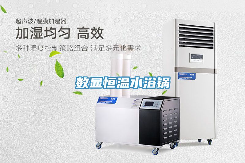 亚洲欧美一级特黄大片 数显恒温水浴锅