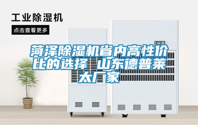 亚洲欧美一级特黄大片 菏泽除湿机省内高性价比的选择 山东德普莱太厂家