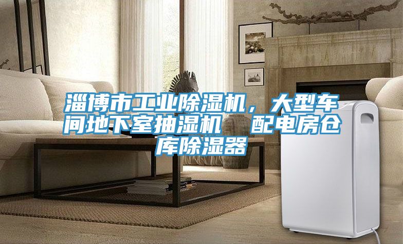 亚洲乱码一区二区三区 淄博市工业除湿机，大型车间地下室抽湿机  配电房仓库除湿器