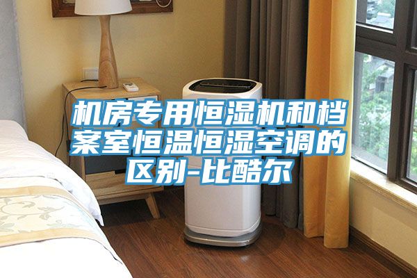 亚洲欧美一级特黄大片 机房专用恒湿机和档案室恒温恒湿空调的区别-比酷尔