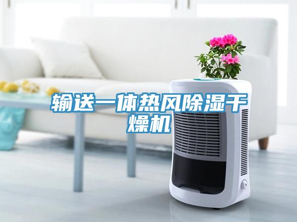 亚洲乱码一区二区三区 输送一体热风除湿干燥机