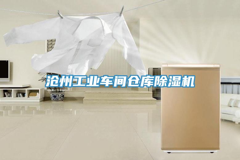 亚洲人成综合第一网站 沧州工业车间仓库除湿机