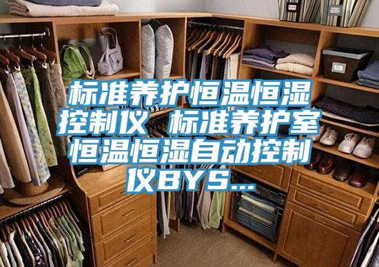 标准养护恒温恒湿控制仪 标准养护室恒温恒湿自动控制仪BYS...