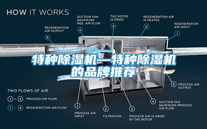 亚洲人成综合第一网站 特种除湿机—特种除湿机的品牌推荐