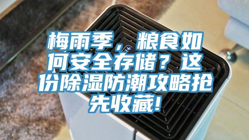 亚洲人成综合第一网站 梅雨季，粮食如何安全存储？这份除湿防潮攻略抢先收藏!