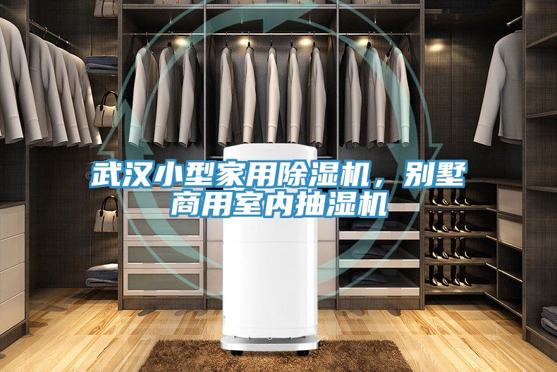 亚洲乱码一区二区三区 武汉小型家用除湿机，别墅商用室内抽湿机